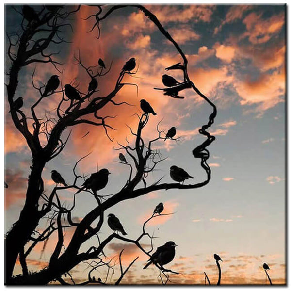Malen nach Zahlen Kunst Vögel auf Baum in Nachtstimmung-40*40cm-ohne Keilrahmen-ohne Bespannungsservice