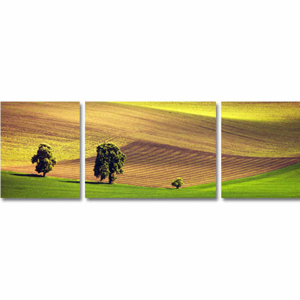 Malen nach Zahlen Landwirtschaft - 3-teilig (Triptychon)-169-3-teilig