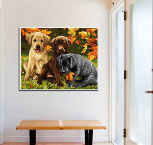 Malen nach zahlen 3 hunde
